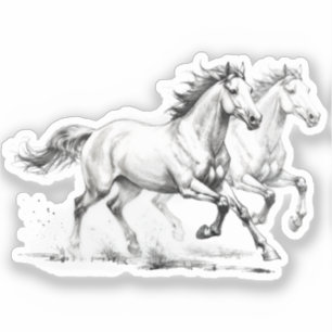 Equine Elegance