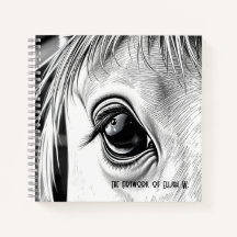 Equine Gaze - Spiral Sketch Book