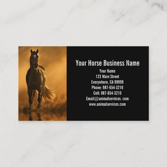 Equine Horse Boarding Lessons Vet Business Card (Front)