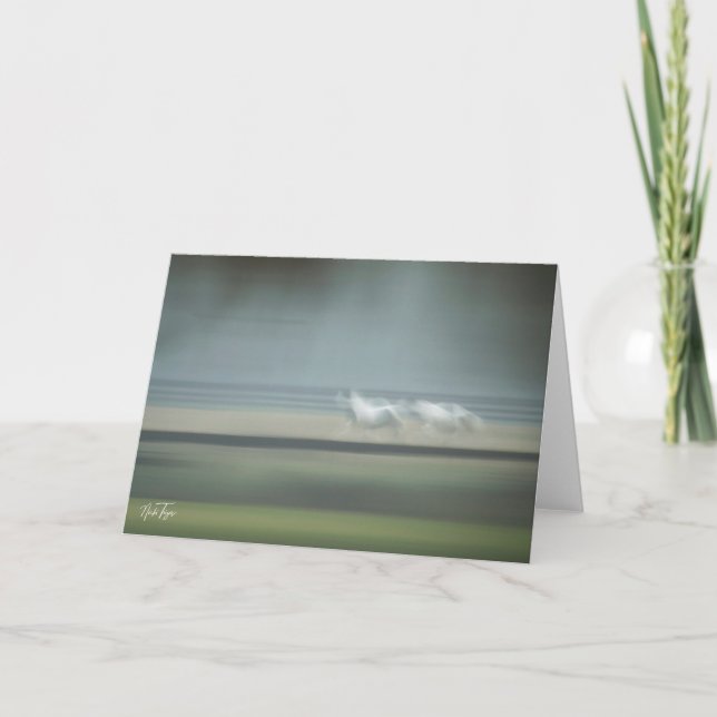 Equine Illusions note card (Front)