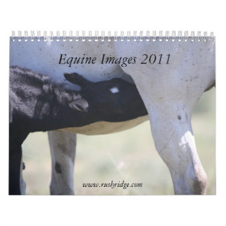 Equine Images 2011 Calendar