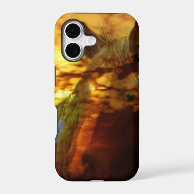 Equine sunset (Back)
