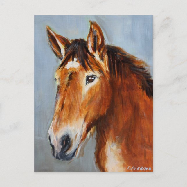 Equine Voices Gulliver Postcard (Front)