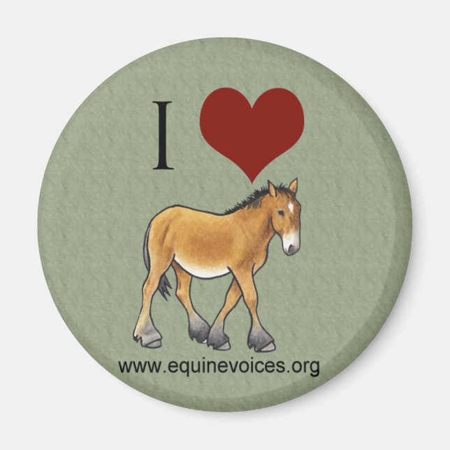 Equine Voices I Love Gulliver Green Magnet (Devant)