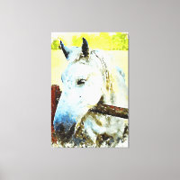 *~* Equine White Horse over Wood Fence AR22