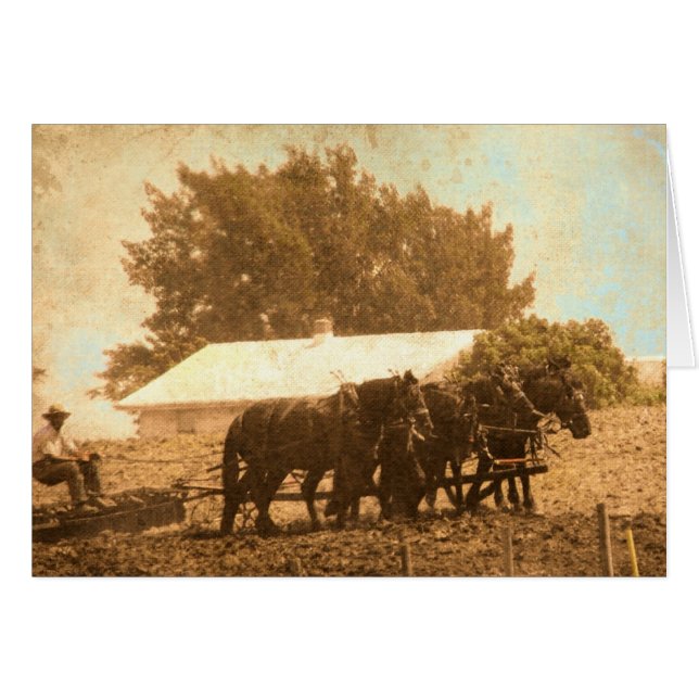 Équipe d'Amish (Devant horizontal)