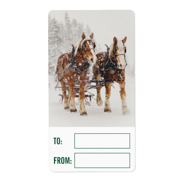 Équipe de Belgique de cheval Wintery Christmas Sce (Devant)