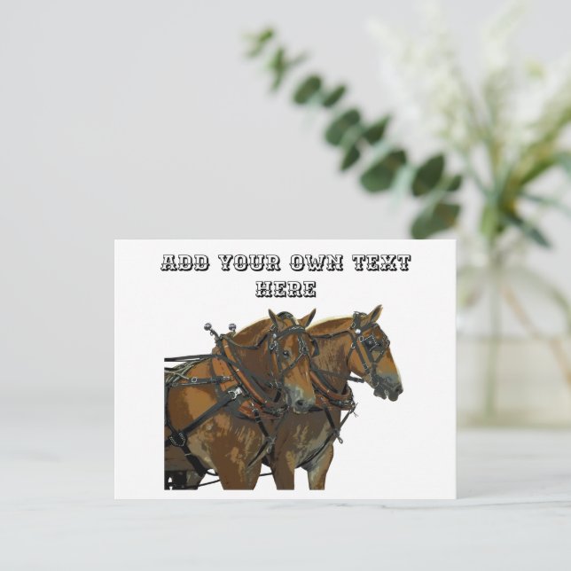 Équipe de chevaux belges Carte postale tout usage (Debout devant)