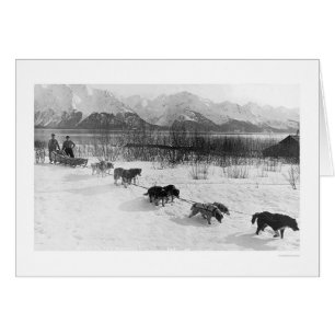 Équipe de chiens Husky Alaska 1918