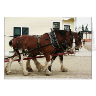 Équipe de Clydesdale, parc d'héritage, Calgary,
