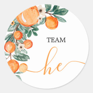 ÉQUIPE Le Genre Révéler Citrus Orange Étiquettes d