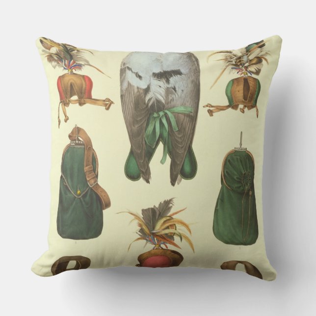 Equipment for Falconry, from 'Traite de Fauconneri Throw Pillow (Front)