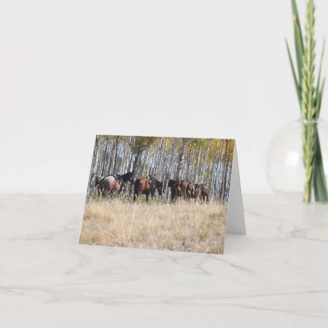 Équitation dans les cartes pour notes de montagnes (Devant)