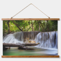 Erawan Waterfall with Deer Relaxing