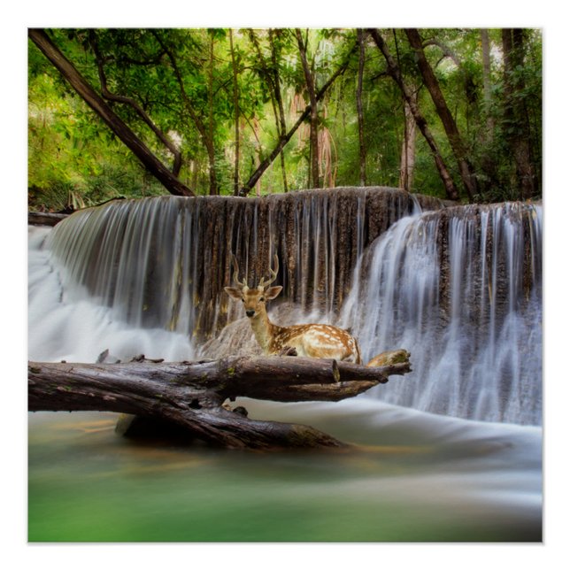Erawan Waterfall with Deer Relaxing  Poster (Front)
