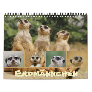 Erdmännchen 002 calendar