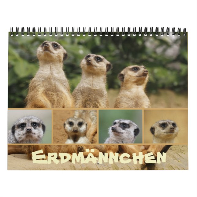 Erdmännchen 002 calendar (Cover)