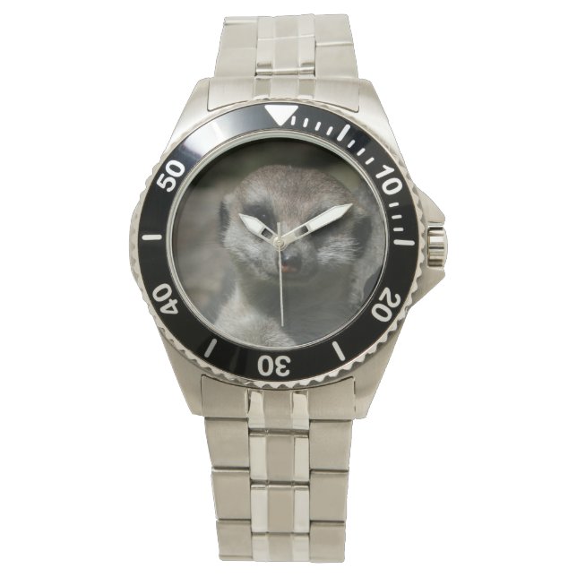 Erdmännchen - Meerkat Watch (Front)