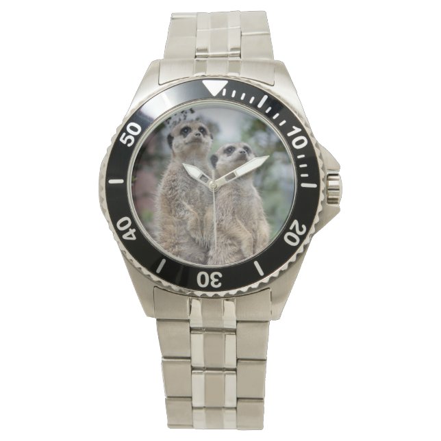 Erdmännchen - Meerkats Watch (Front)
