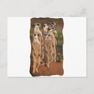 Erdmännchengruppe Postcard