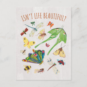 Eric Carle Isn’t Life Beautiful Postcard