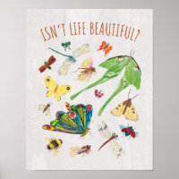 Eric Carle | Isn't Life Beautiful?