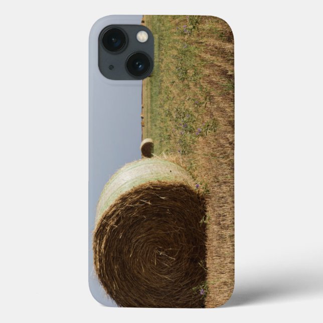 Erick, Oklahoma, USA - Route 66 Case-Mate iPhone Case (Back)