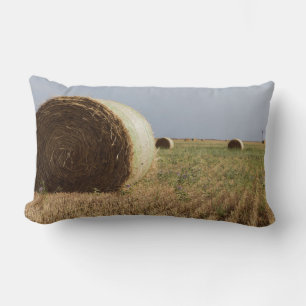 Erick, Oklahoma, USA - Route 66 Lumbar Pillow