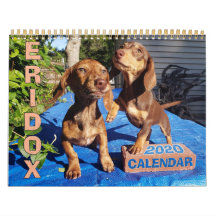 Eridox Dachshunds 2020 Calendar