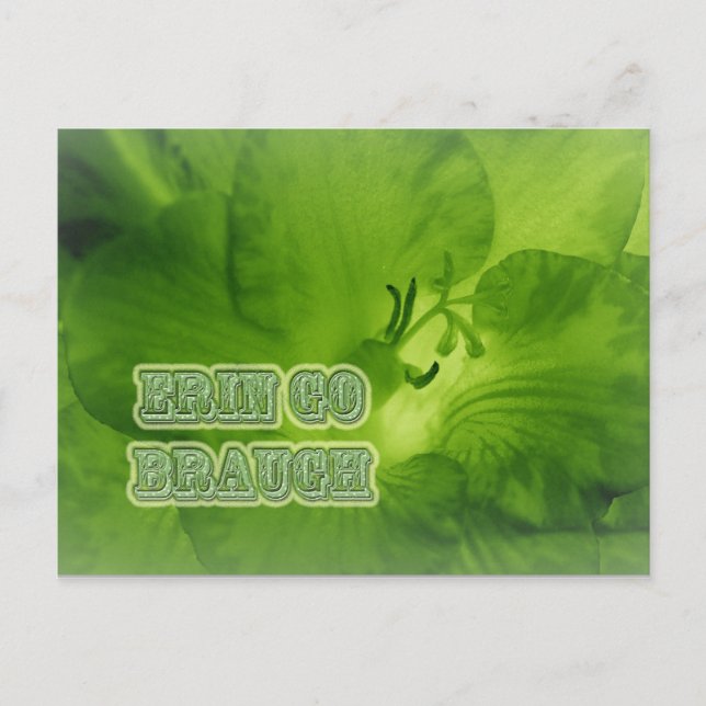 Erin Go Braugh Green Freesia Items Postcard (Front)