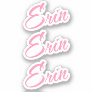Erin Nom décoratif en rose x3 Sticker