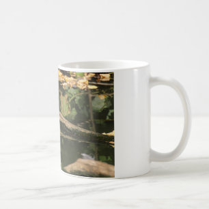 Erithacus rubecula coffee mug