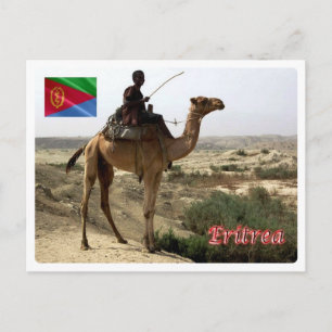 Eritrea - Camel - Postcard