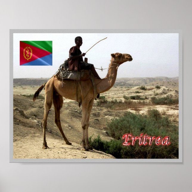 Eritrea - Camel - Poster (Front)