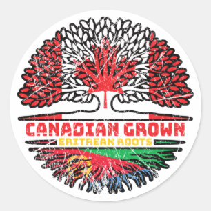 Eritrea Eritrean Canadian Canada Tree Roots Flag Classic Round Sticker
