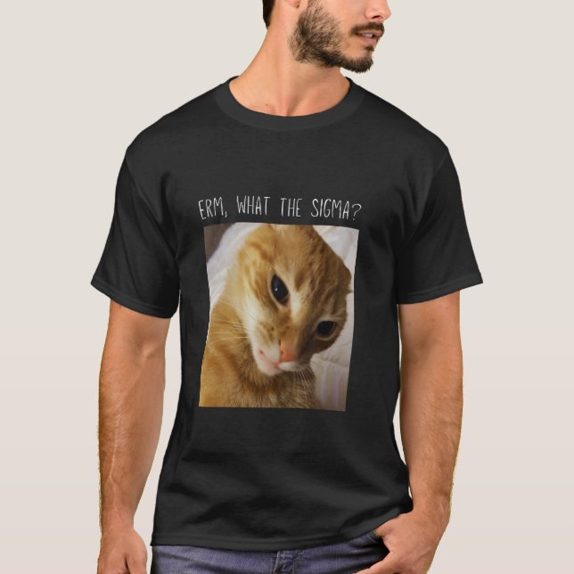 Erm, What the Sigma Funny cat meme T-Shirt (Front)