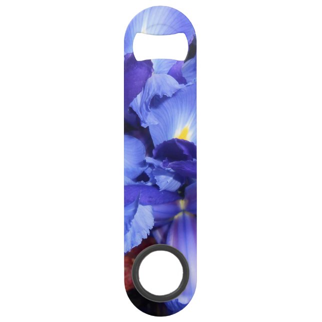 Ermengarde Bar Key (Front)