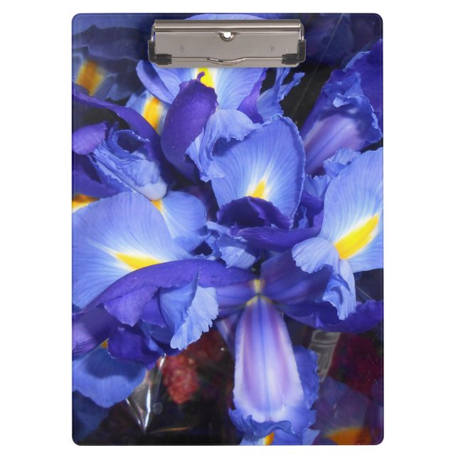 Ermengarde Clipboard (Front)