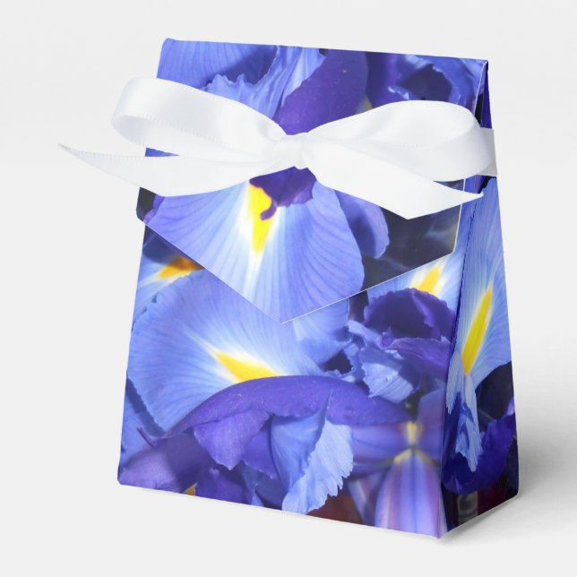 Ermengarde Favor Box (Front Side)