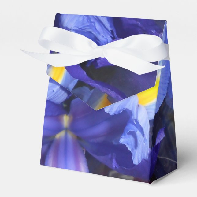 Ermengarde Favor Box (Front Side)