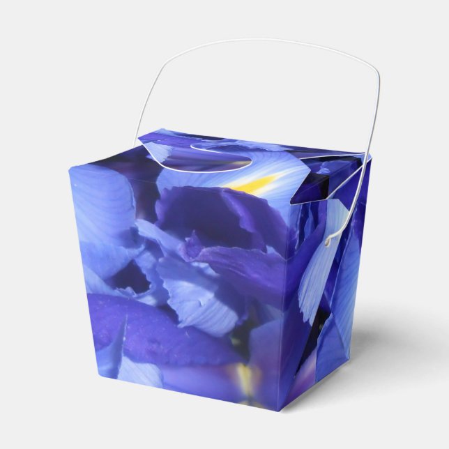 Ermengarde Favor Box (Front Side)