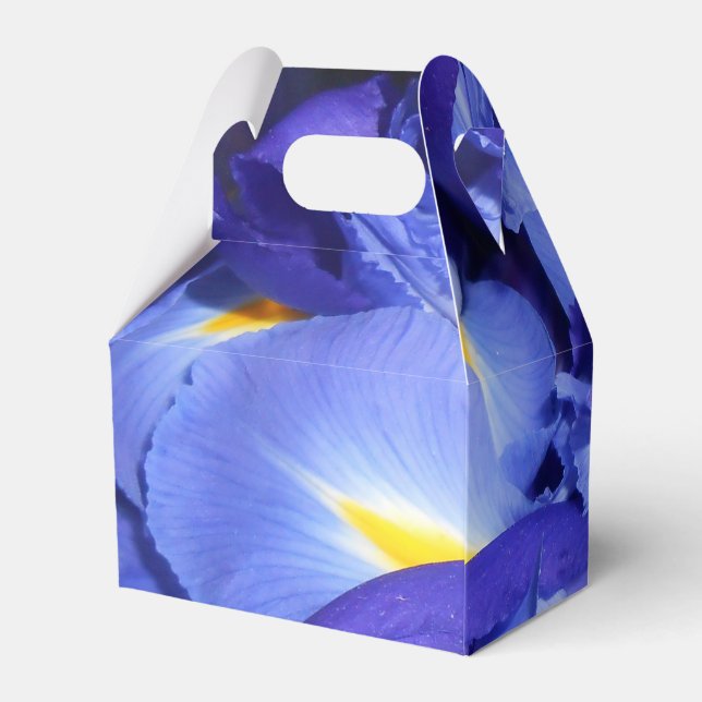 Ermengarde Favor Box (Back Side)