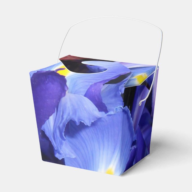 Ermengarde Favor Box (Front Side)