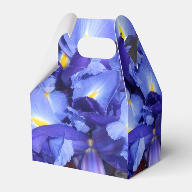 Ermengarde Favor Box (Front Side)