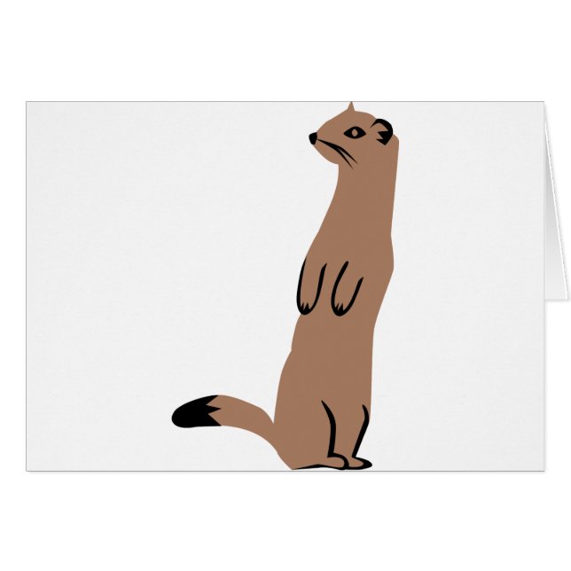 Ermine - Stoat - Weasel (Front Horizontal)