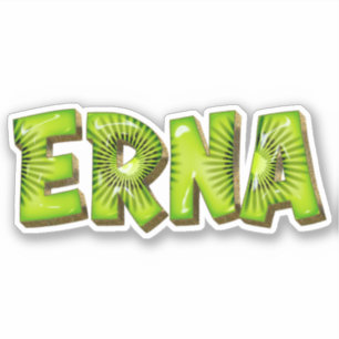Erna Name Kiwi Design Autocollants