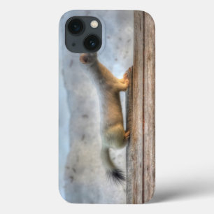 Ernie the Determined Ermine (Weasel) Wildlife iPhone 13 Case