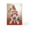Ernie the Sock Monkey 2nd Birthday Card