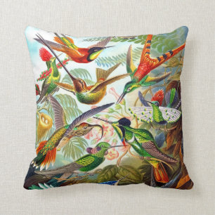 Ernst Haeckel 1904 Hummingbird Print on Pillow