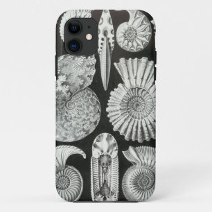 Ernst Haeckel - Ammonitida iPhone 11 Case